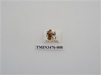 藏品(長角姬天牛)的圖片